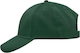 dark-green dark-green